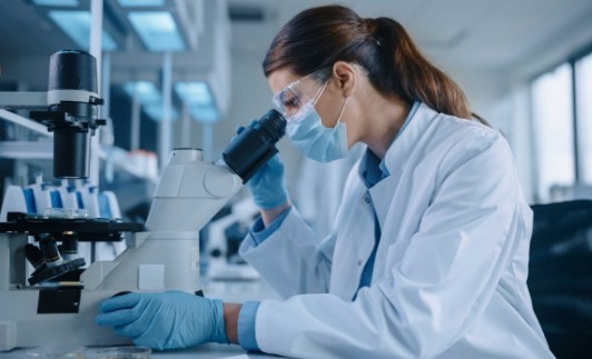 Lab Services