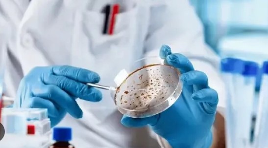 Microbiology testing